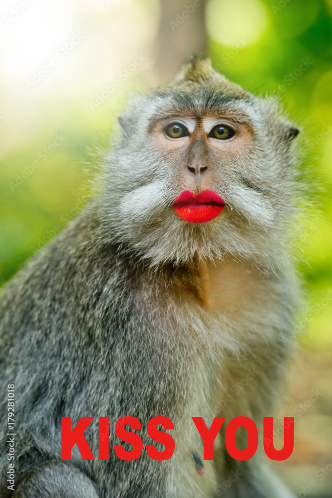 Portrait of funny monkey with a big red lips and text: Kiss you. Stock  Photo | Adobe Stock