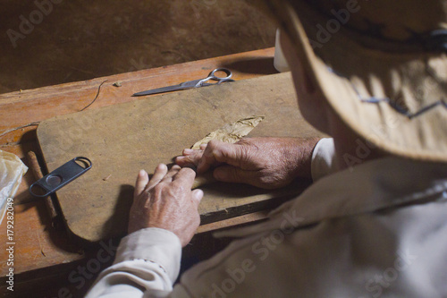 Bild auf Leinwand A cuban farmer making a cigar with this hands in Pinar del Rio, Cuba