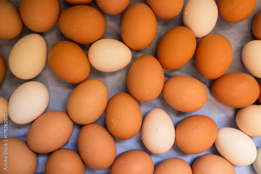 Lots of fresh chicken eggs. Concept of organic products. Farm. Lots of fresh chicken eggs. Concept of organic products. Farm.