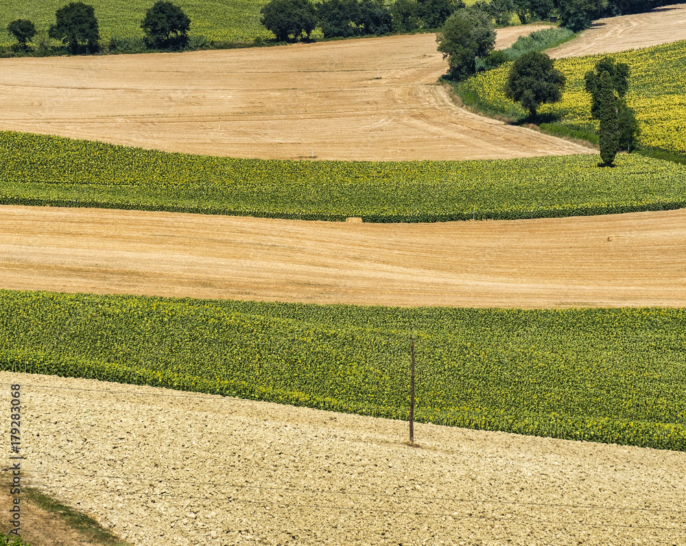 Obraz premium Summer landscape in Marches (Italy) near Castelfidardo