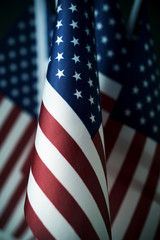 american flags in line
