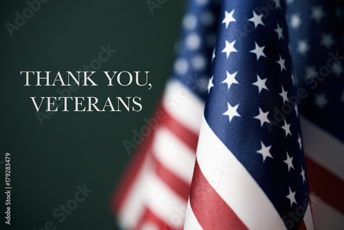 text thank you veterans and american flags photo