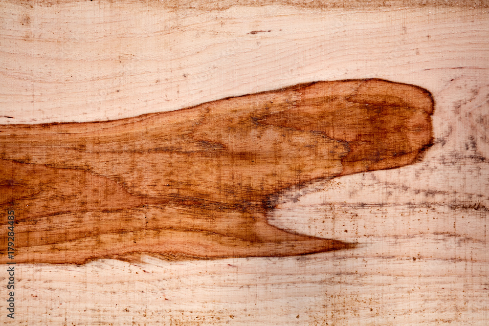 Naklejka premium Freshly cut and milled wood texture