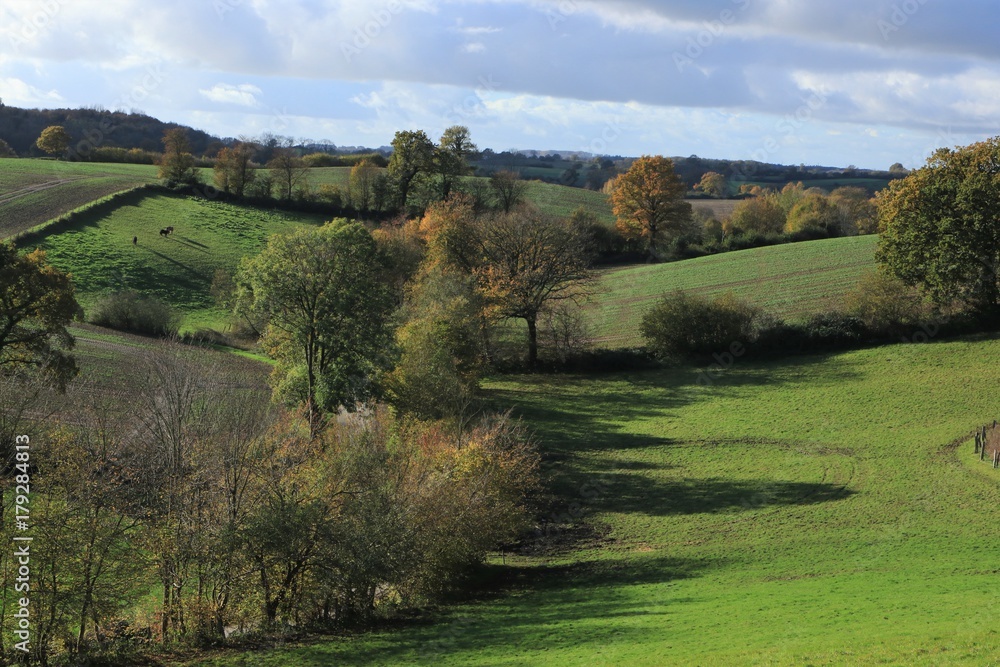 rural autumn landscape
