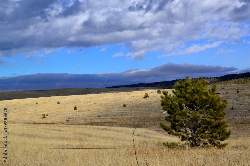 Fototapeta premium Overlooking A High Mountain Grassland With A Blue Sky As A Backdrop