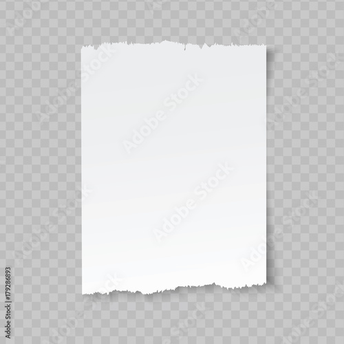Vector blank sheet of torn paper on transparent background.