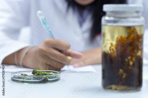 Education Biotechnology and Experiment chemical in the laboratory.	
