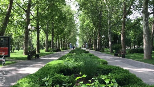 Red street Park city Krasnodar downtown alley walk green grass flowers trees summer doves lawn lights people cars traffic russia citizens park leafs autumn walks horizontal slider shot Motion Up