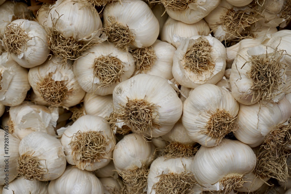 Garlic Garlic