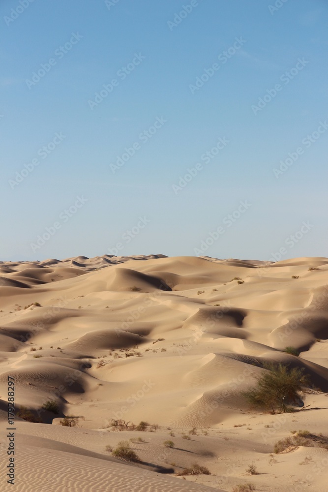 sand hills dunes in the desert