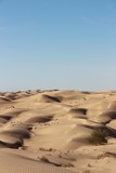 sand hills dunes in the desert