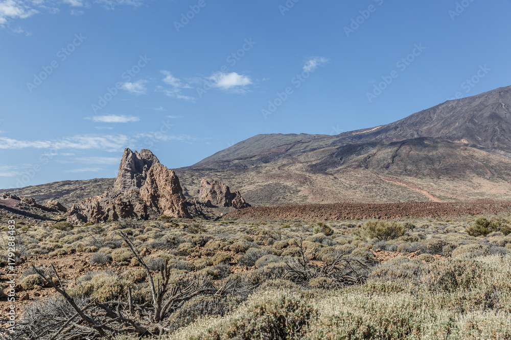 View of a very arid landscape with some vegetation on a sunny day