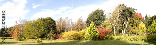 Autumn garden panorama