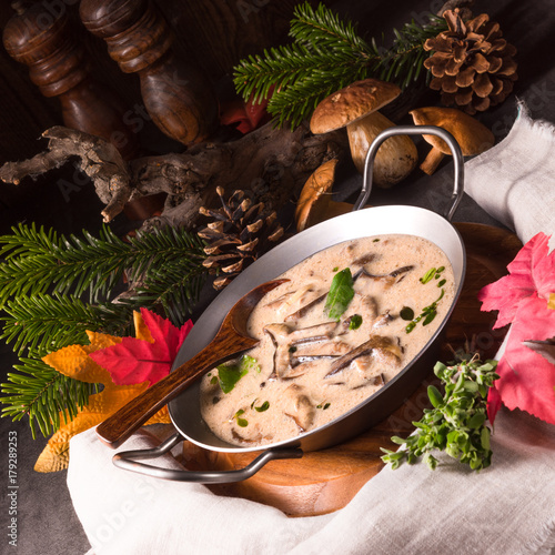 Tasty mushroom sauce photo