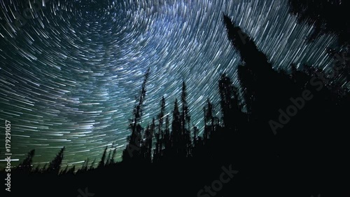 North Star over Forest on Mt. Hood Abstract Star Trails Night Time Lapse