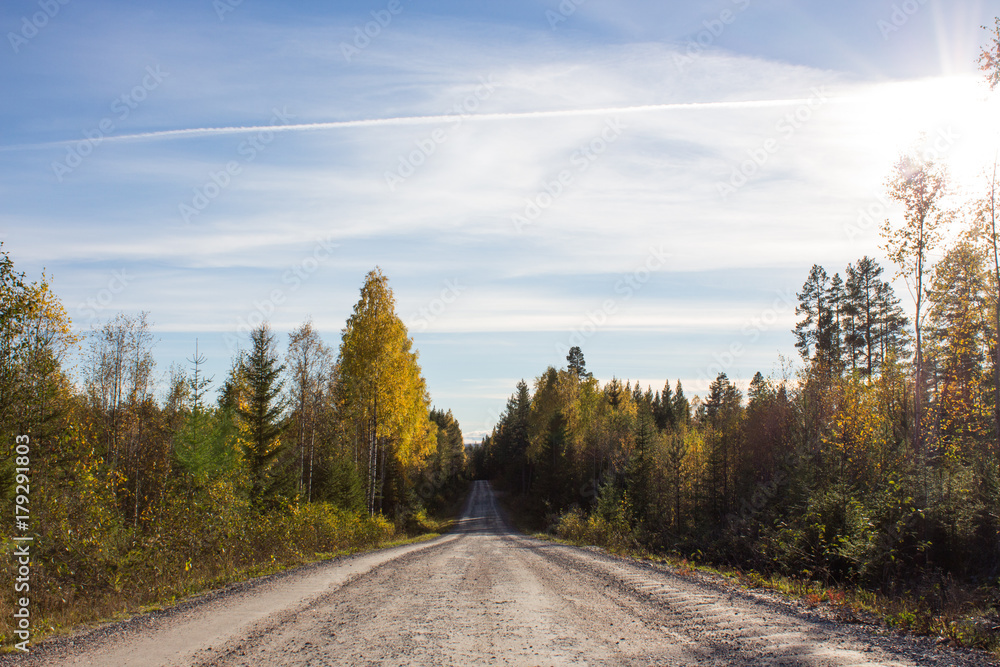 Obraz premium Sunny autumn day