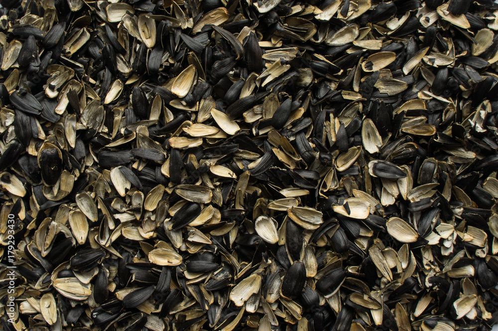 Husks of sunflower seeds. Husks of sunflower seeds.