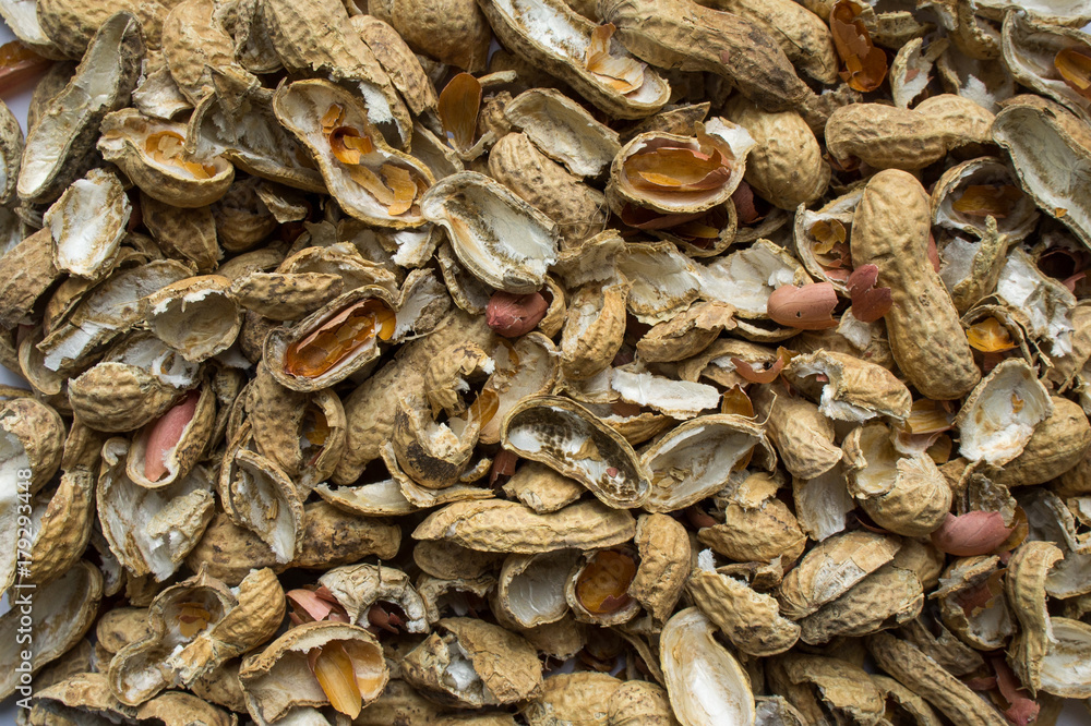 Husk of peanut. Husk of peanut.