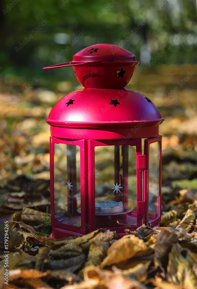 closeup of red lantern on autumn leaves in the forest closeup of red lantern on autumn leaves in the forest