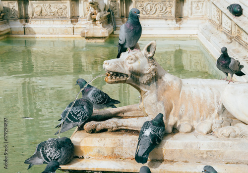 Fonte Gaia in Piazza del Campo, Siena, Tuscany, Italy