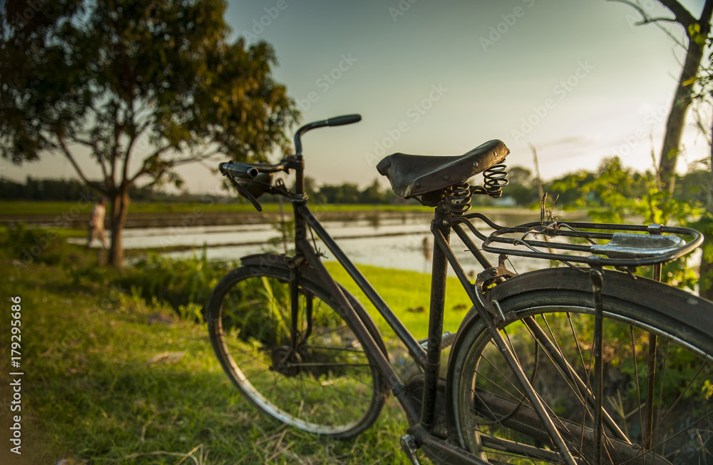 Antique Bicycle Park