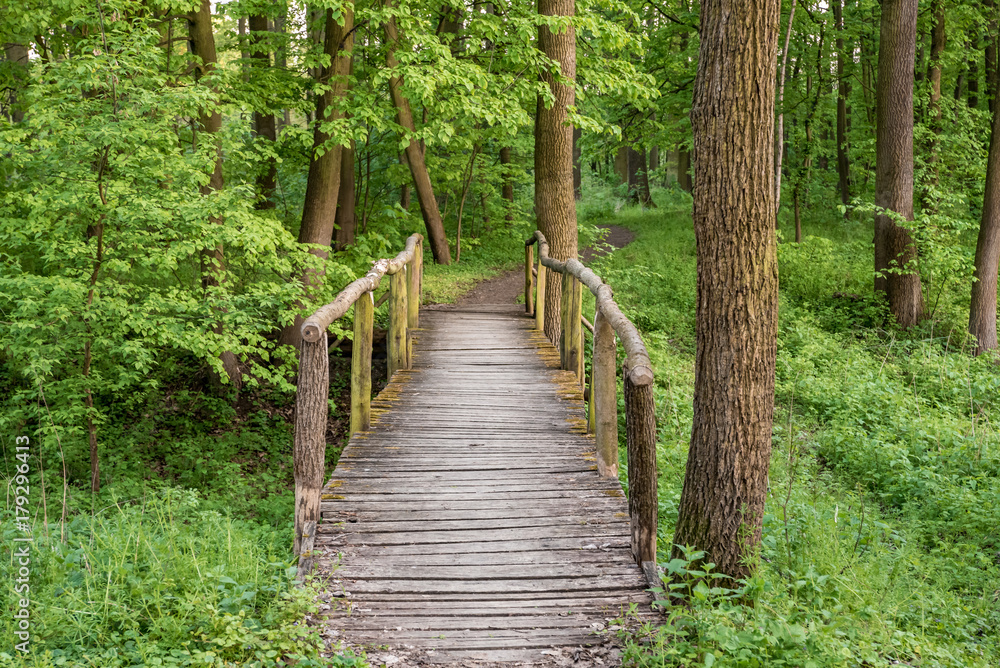 Wooden bridge on a trail in a forest Wooden bridge on a trail in a forest