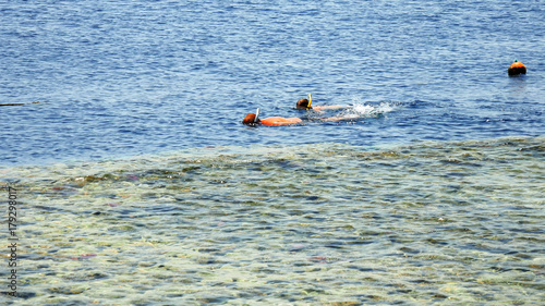 Couple is snorkeling and bathing in the sea near coral reef at the tropical sea resort. Vacation and recreational sport summer activity.