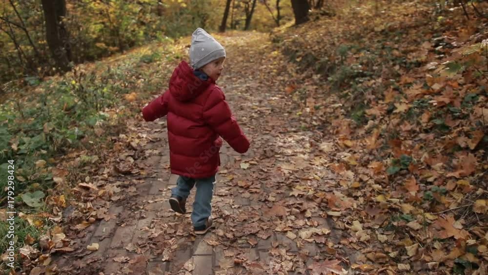 Little toddler boy running in colorful autumn park Little toddler boy running in colorful autumn park
