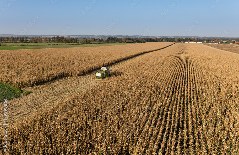 aerial view of the combine on the harvest field
