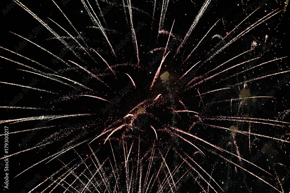 Obraz premium firework