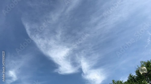 Motion Up: Red street Park city bike cyclist Beautiful blue sky alley garden flowers downtown people walk green grass Billboard lights trees summer cars traffic russia citizens park leafs walks track
