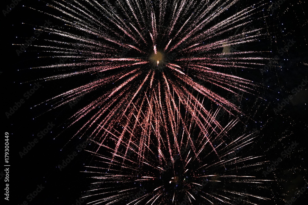 firework firework