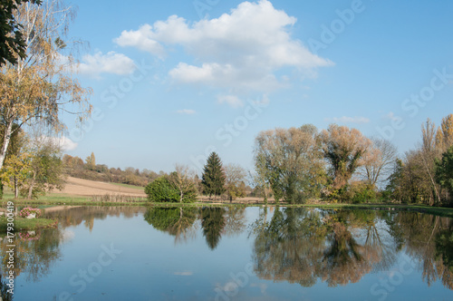 arbres se réfléchissant dans un lac en automne