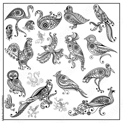 Graphic illustration of different birds_set 4