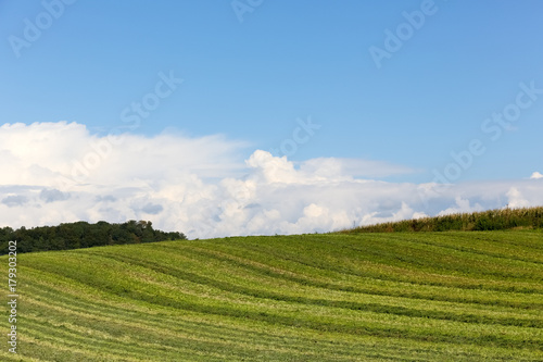 Green agricultural area © marek_usz