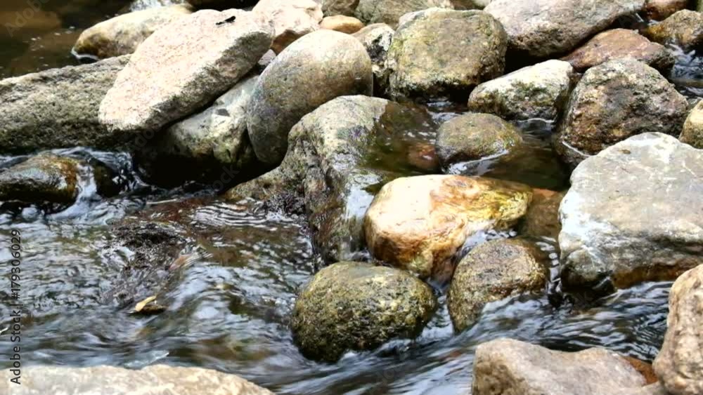 Stone in the river Stone in the river