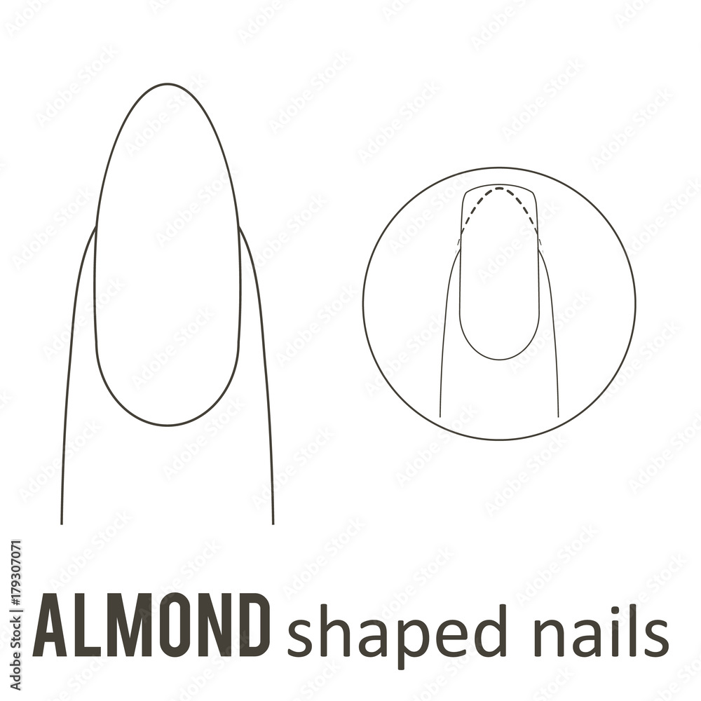 Nail manicure. How to make almond nail shape. Vector Nail manicure. How to make almond nail shape. Vector