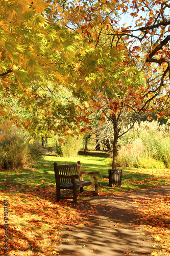 Autumn landscape. Bench in Royal Victoria Park, Bath; Somerset; England