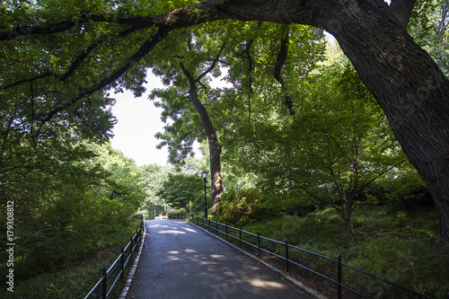 Central Park, New York, Uni...