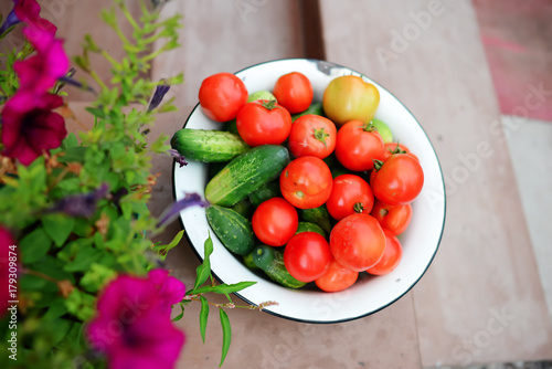 Small tomatoes and cucumbers. Vegetables on a white plate.