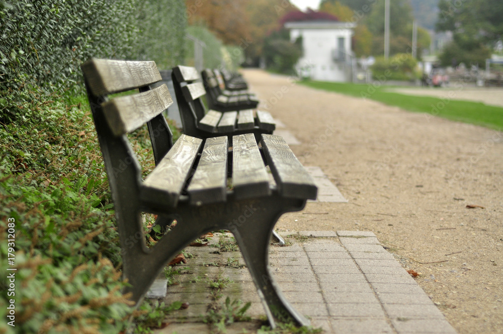 Wooden benches in the park