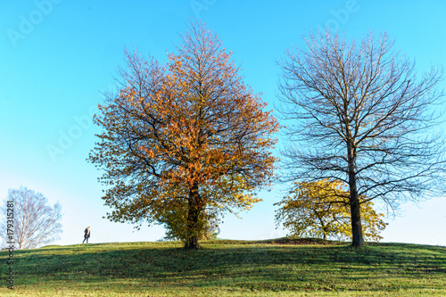 Some trees with colorful leaves and a woman walking on a green grass hill at the baltic sea coast not far from Stockholm, Sweden