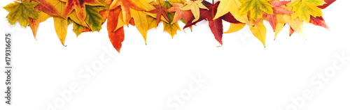 Autumn Background of Leaves, Berries, Flowers and Pumpkins