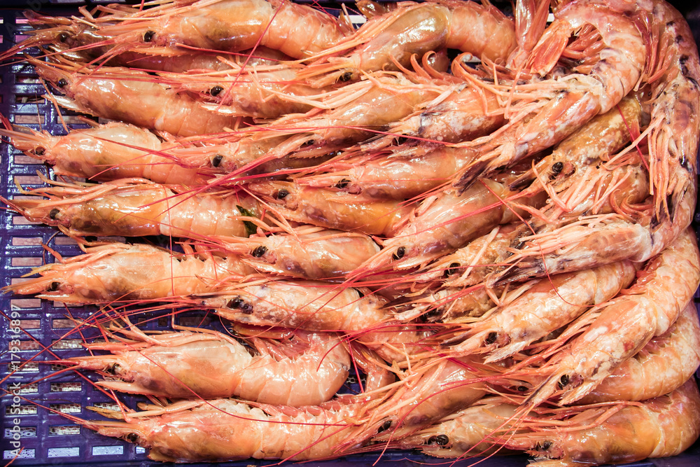 Shrimp at the fish market