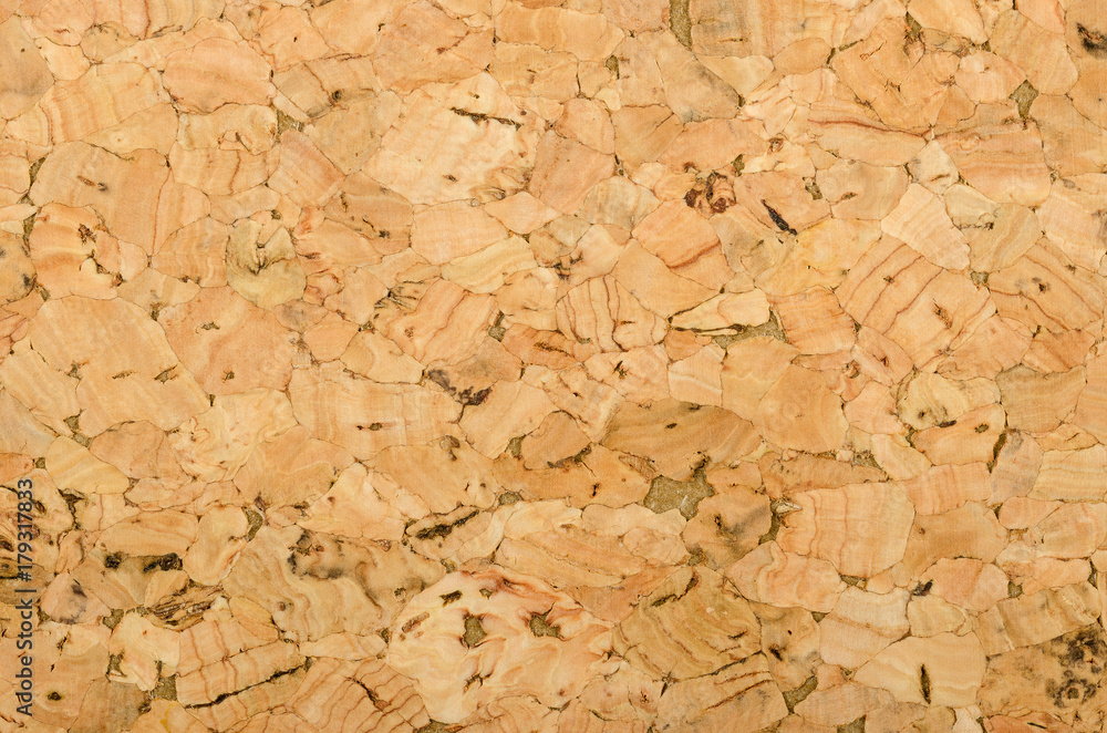 Cork sheet surface with coarse texture, comprised of rough grained cork oak, Quercus suber. Decorative panels and veneers, used as bulletin boards, floor and wall tiles. Top view. Macro photo. Cork sheet surface with coarse texture, comprised of rough grained cork oak, Quercus suber. Decorative panels and veneers, used as bulletin boards, floor and wall tiles. Top view. Macro photo.