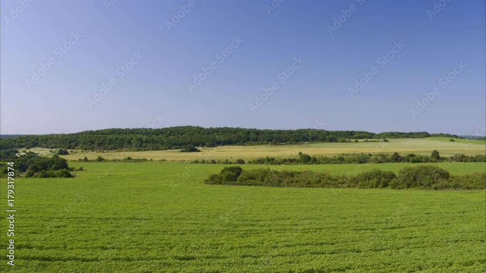 Wide aerial shot of green field under blue sky / Balvan, Bulgaria Wide aerial shot of green field under blue sky / Balvan, Bulgaria