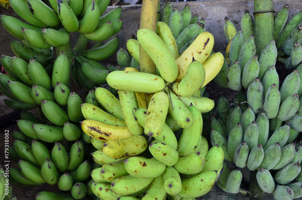 Healthy Bananas` Healthy Bananas`