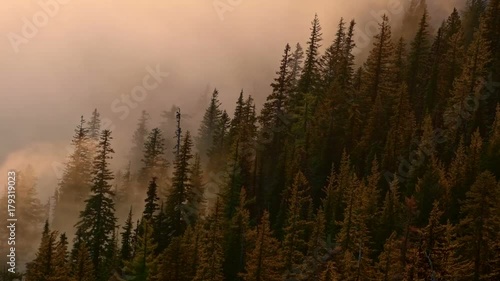 Washing fog over forest and trees Inversion Mt. Hood Oregon Cascades 9
