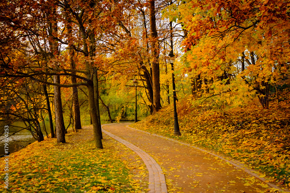 Park landscape at golden fall