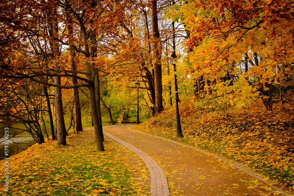 Obraz premium Park landscape at golden fall